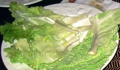 Chicory, cabbage