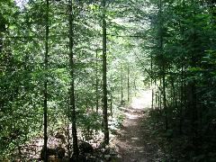 McCloud Preserve Trail