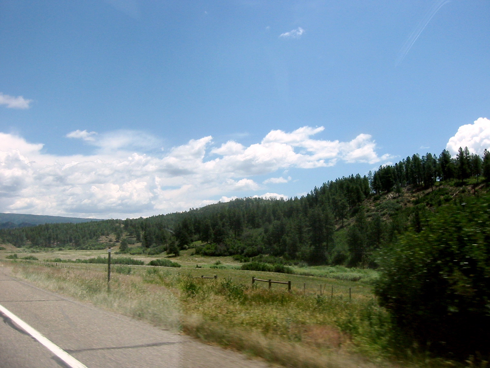 Roadside, Southwest Colorado