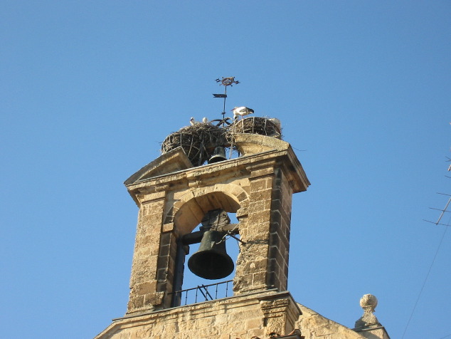 Segovia: stork nests