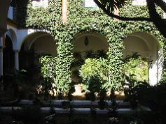 Seville courtyard